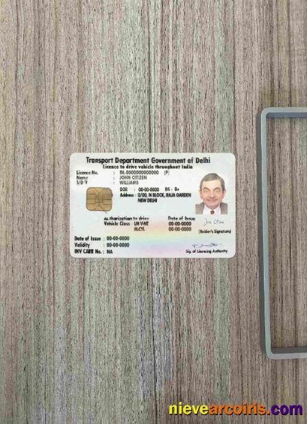 India (Delhi) driving license photolook